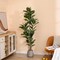 Artificial Rubber Tree Plant 6ft Tall Faux Ficus Tree Potted Fake Tropical Plants Decorative House Plants Large Floor Plants Artificial Trees for Home Office Store Room Decor